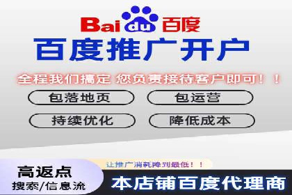 百度推广费用优化策略成功案例分享